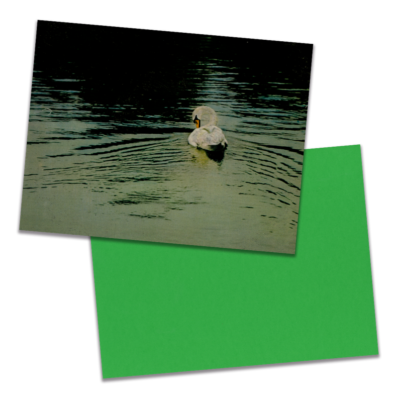 Photo of a 11” x 8.5” notebook cover made from an upcycled Tchaikovsky : The Philadelphia Orchestra, Eugene Ormandy “The Swan Lake-Ballet, Op. 20” album sleeve and the back cover with green cardstock on a transparent background.