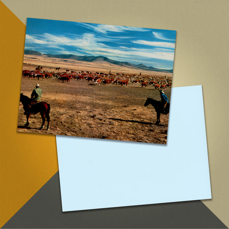 Photo of a 11” x 8.5” notebook cover made from an upcycled The Norman Luboff Choir “Songs Of The West” album sleeve and the back cover with light blue cardstock on an orange, cream and grey background.