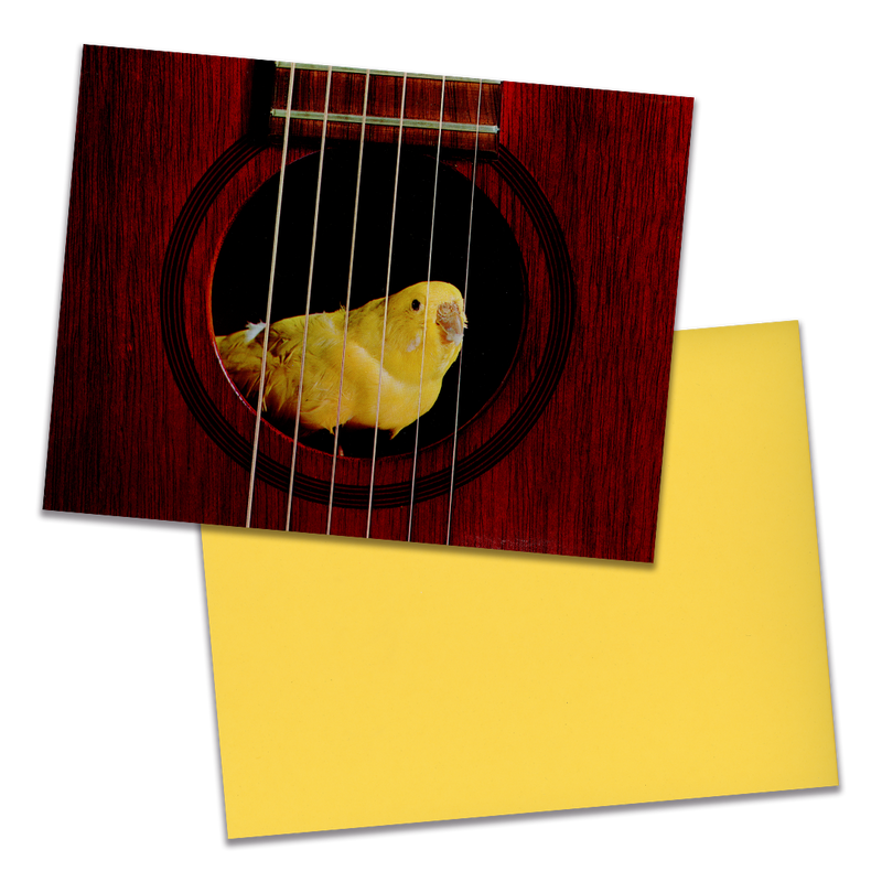 Photo of a 11” x 8.5” notebook cover made from an upcycled Charlie Byrd “Hit Trip” album sleeve and the back cover with yellow cardstock on a transparent background.