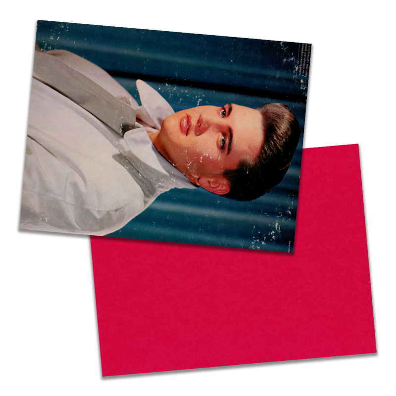 Photo of a 11” x 8.5” notebook cover made from an upcycled Elvis Presley “50,000,000 Elvis Fans Can’t Be Wrong (Elvis’ Gold Records, Vol. 2)” album sleeve and the back cover with red cardstock on a transparent background.