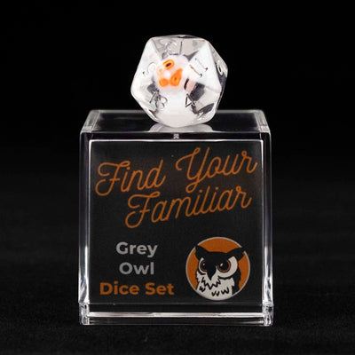 A 20 sided clear die with grey owl inclusions sitting on top of a small acrylic box with the words "Find Your Familiar" and "Grey Owl Dice Set" on a black background.